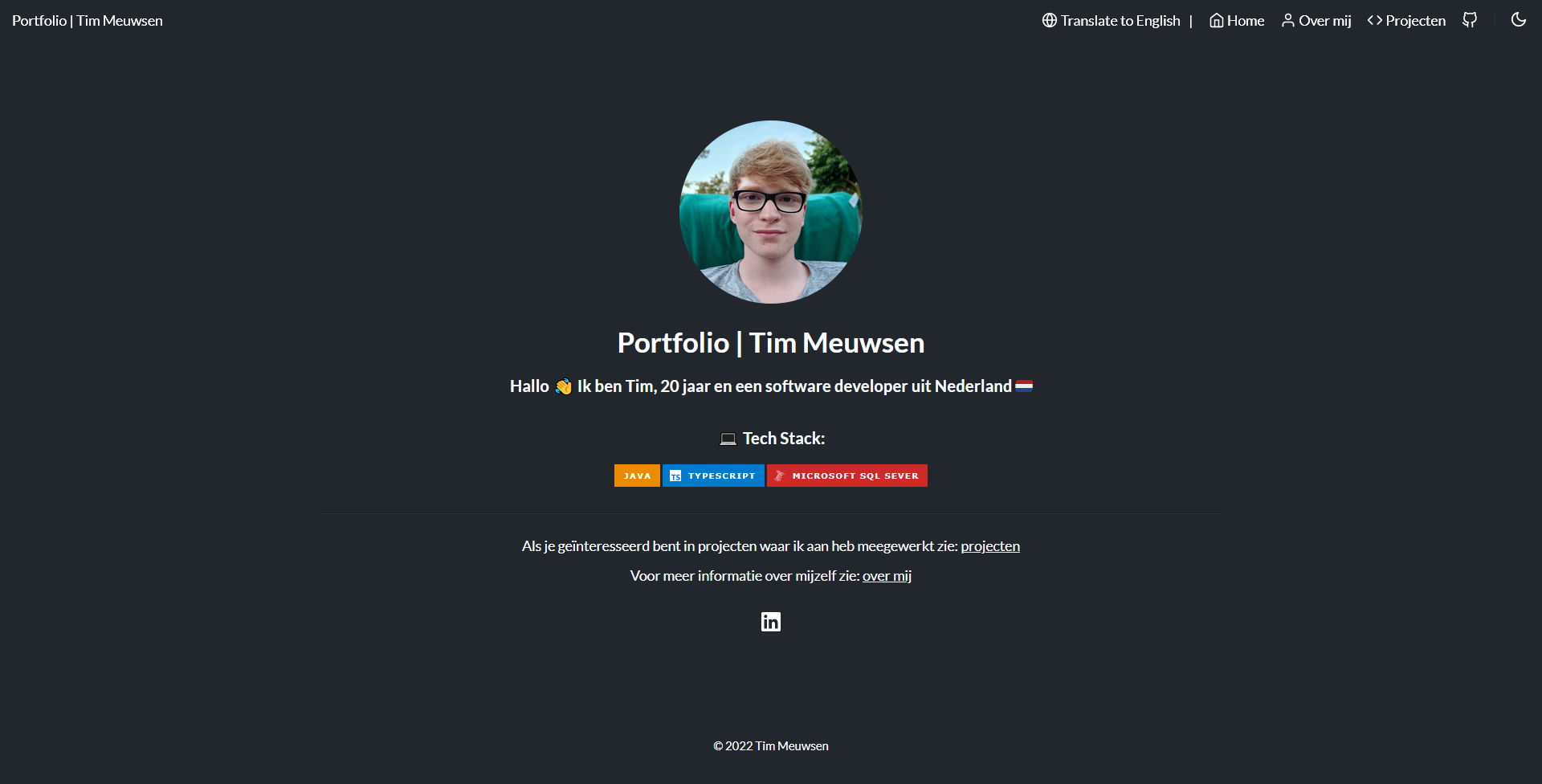 Screenshot van portfolio frontend